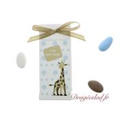 Ballotin drag�es bapt�me Lilou Girafe