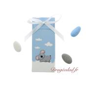 Ballotin drages baptme Lilou Koala