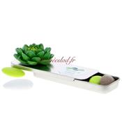 Boite dragées métal nature plante succulente